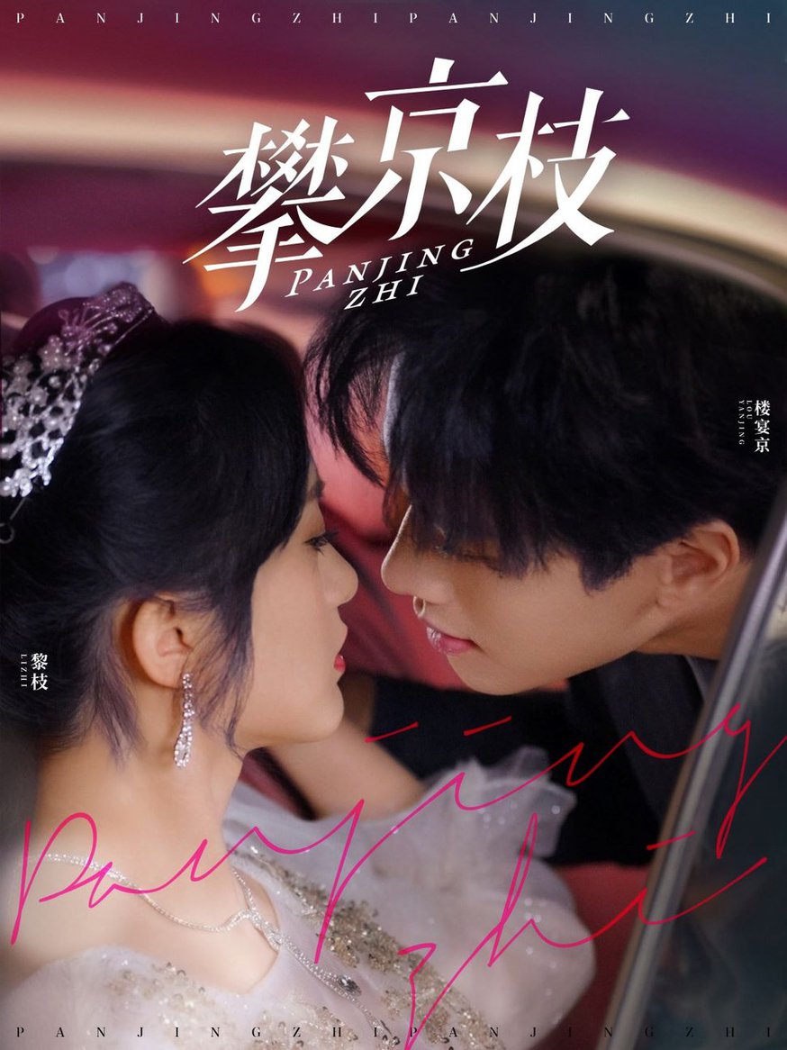 攀京枝短剧(全集)