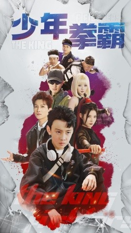 少年拳霸(全集)