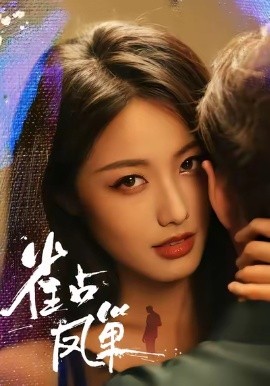 雀占凤巢(全集)