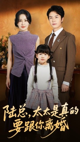 陆总太太是真的要跟你离婚(全集)