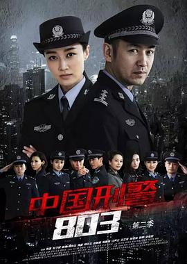 中国刑警803英雄本色第23集