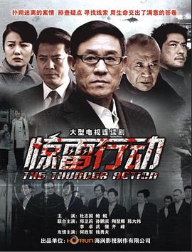 惊雷行动第15集