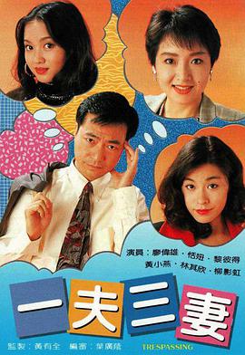 一夫三妻粤语第14集