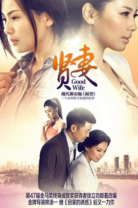 贤妻2013第16集