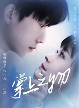 掌上之物第12集