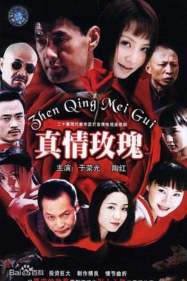 真情玫瑰第20集(大结局)