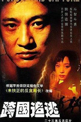 跨国追逃第11集