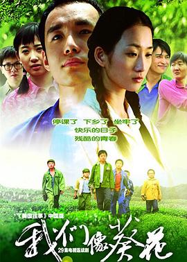 我们像葵花第09集