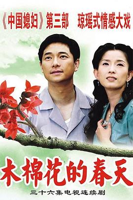 木棉花的春天第13集