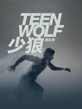 少狼第五季第17集