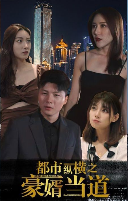 都市纵横之豪婿当道第30集