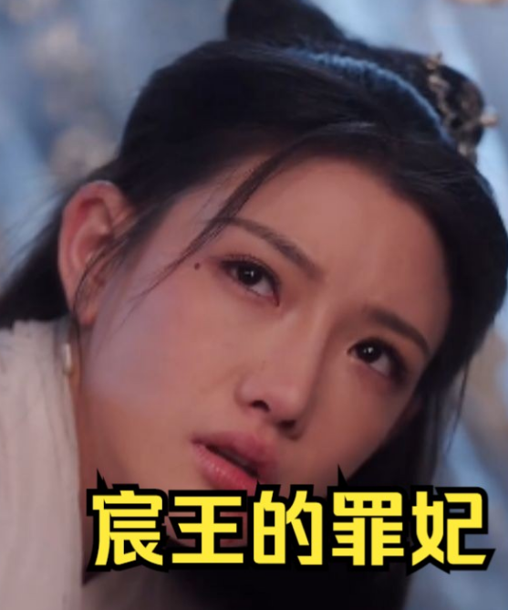 宸王的罪妃第73集