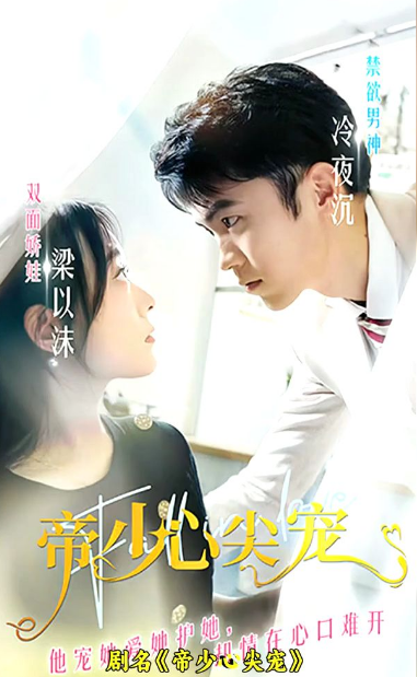 帝少心尖宠第27集
