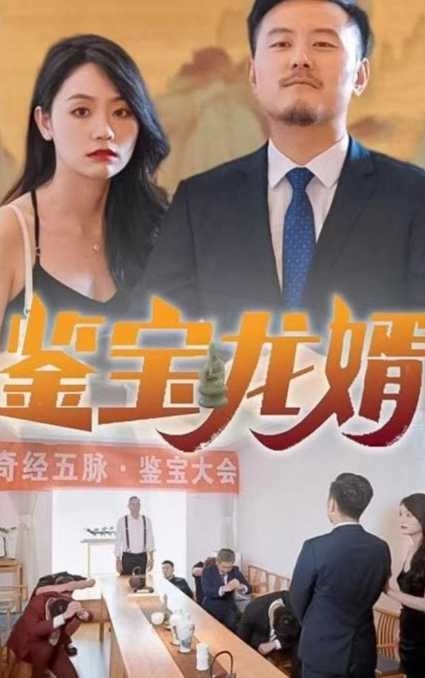 鉴宝龙婿第78集