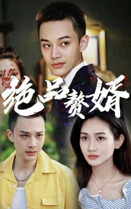 绝品赘婿第17集