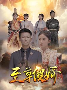 至尊傻婿第73集