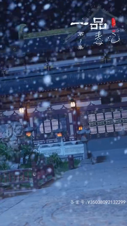 一品毒妃第21集