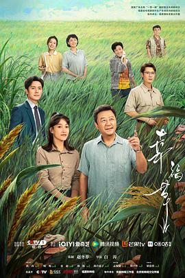 幸福草第24集(大结局)