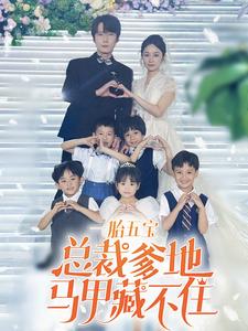 一胎五宝总裁爹地马甲藏不住第47集