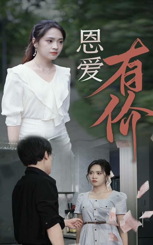 恩爱有价第15集