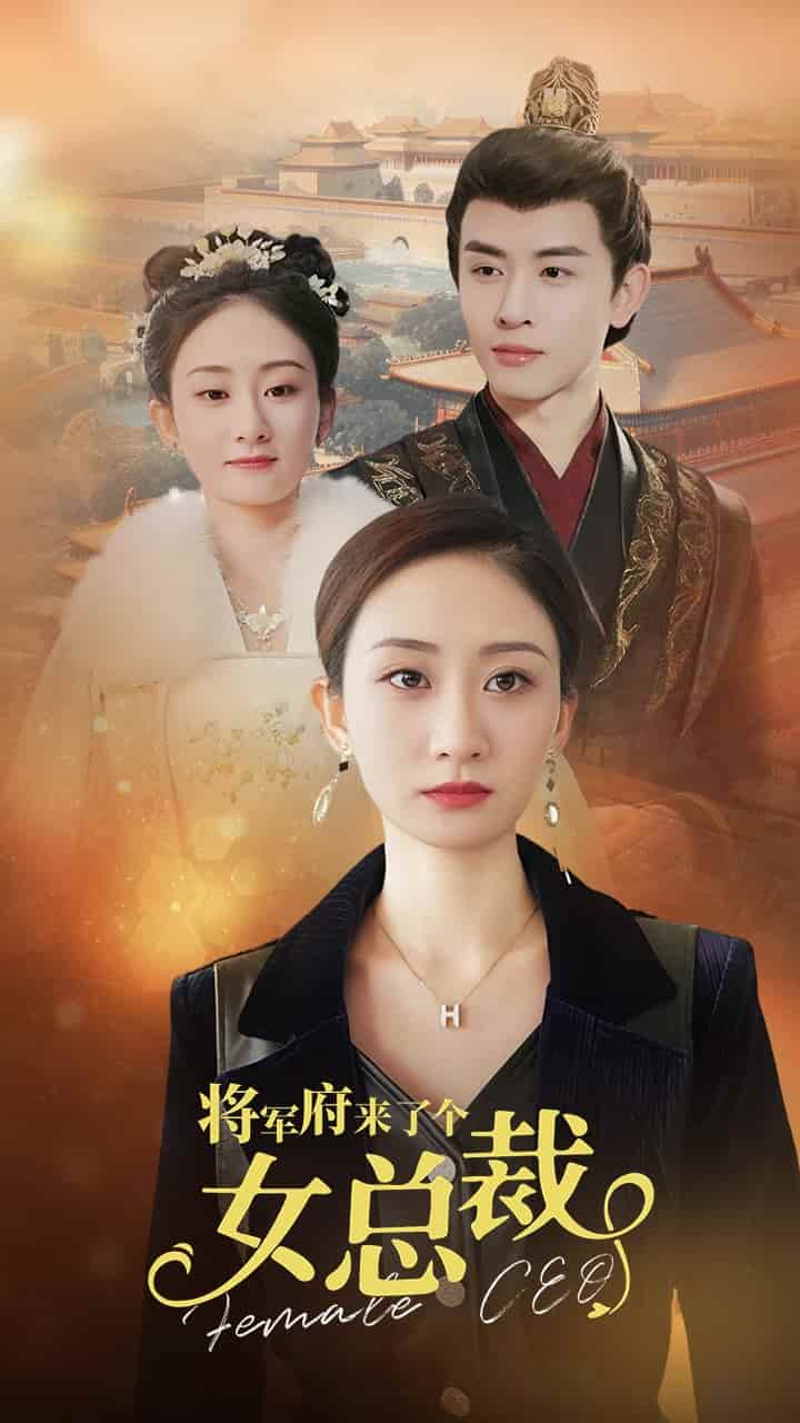 将军府来了个女总裁第24集
