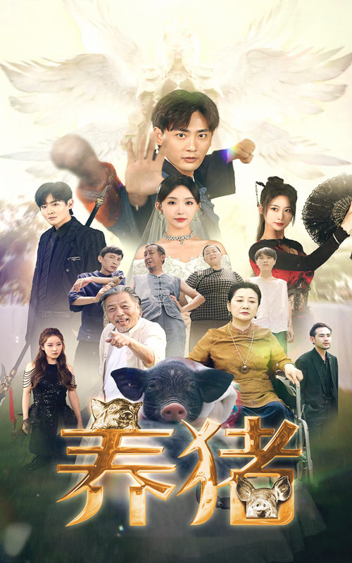 养猪第31集