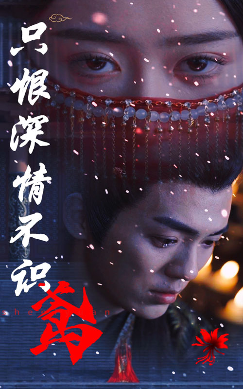 只恨深情不识鸢第13集