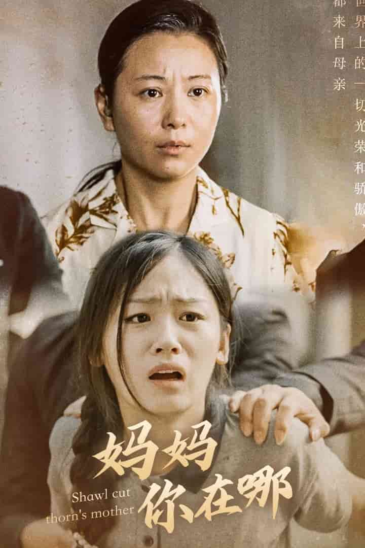 妈妈你在哪第16集