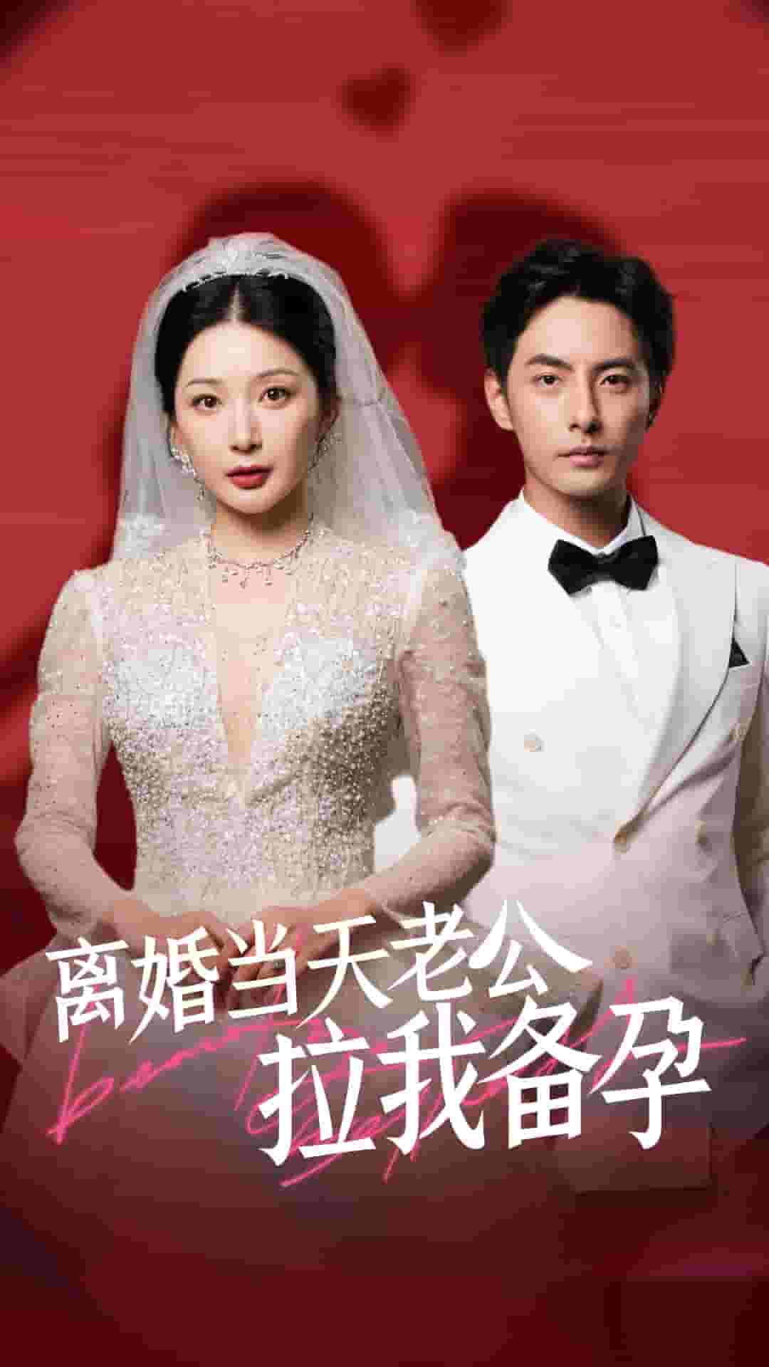 离婚当天老公拉我备孕第23集