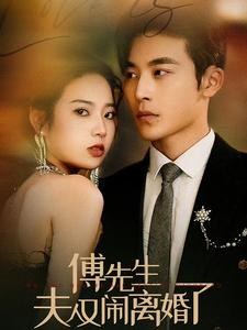 傅先生夫人又闹离婚了第20集