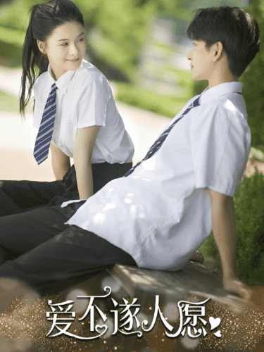 爱不遂人愿第24集