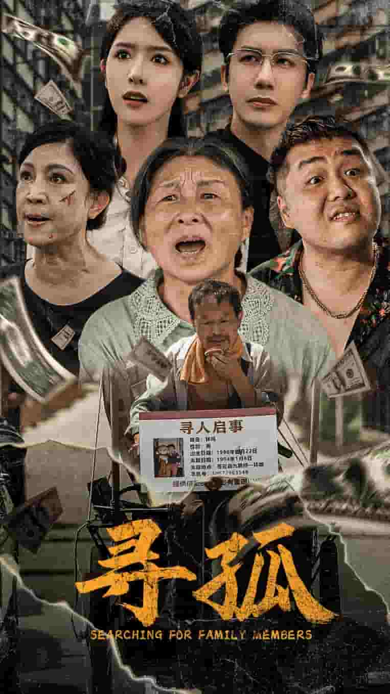 寻孤第24集