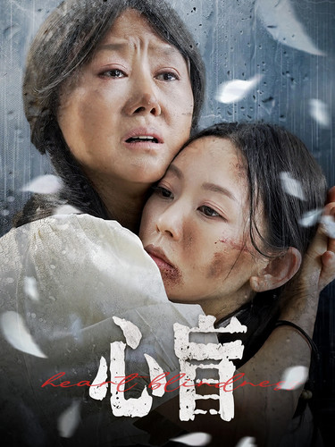 心盲第13集