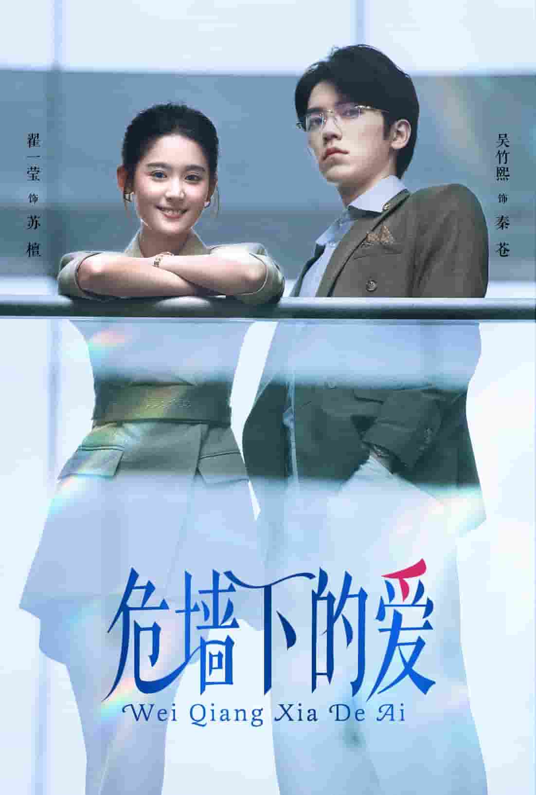 危墙下的爱第24集