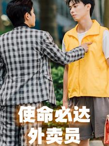 使命必达外卖员第20集