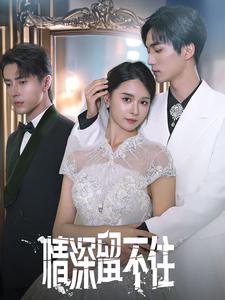 情深留不住第16集