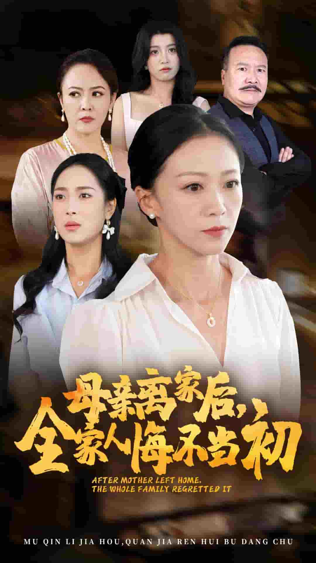 母亲离家后，全家人悔不当初第51集