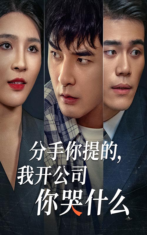 分手你提的，我开公司你哭什么第46集