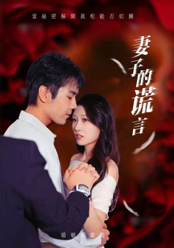 妻子的谎言第21集