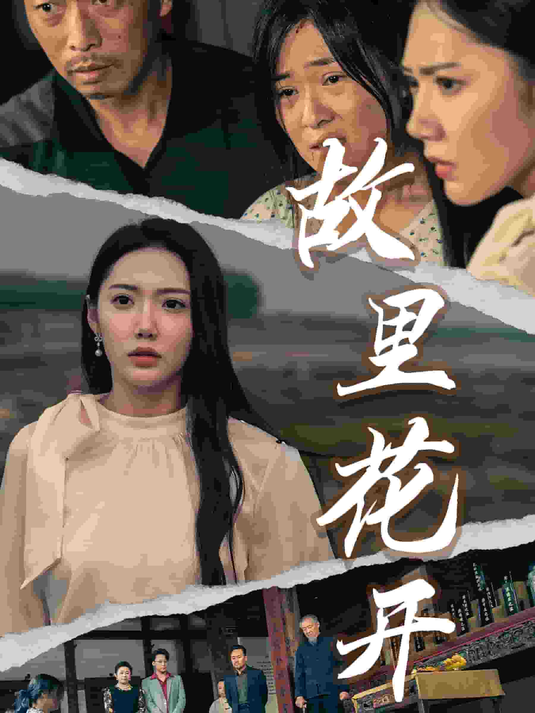 故里花开第43集(大结局)