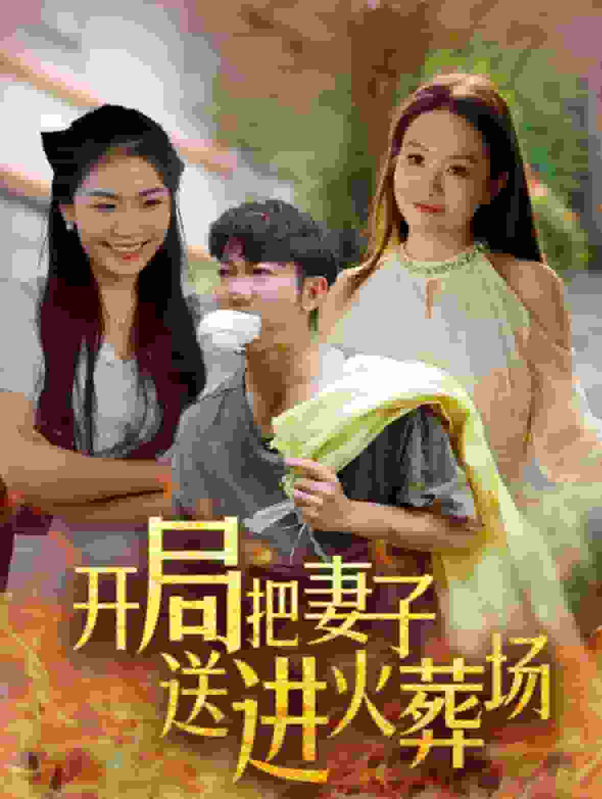 开局把妻子送进火葬场第31集