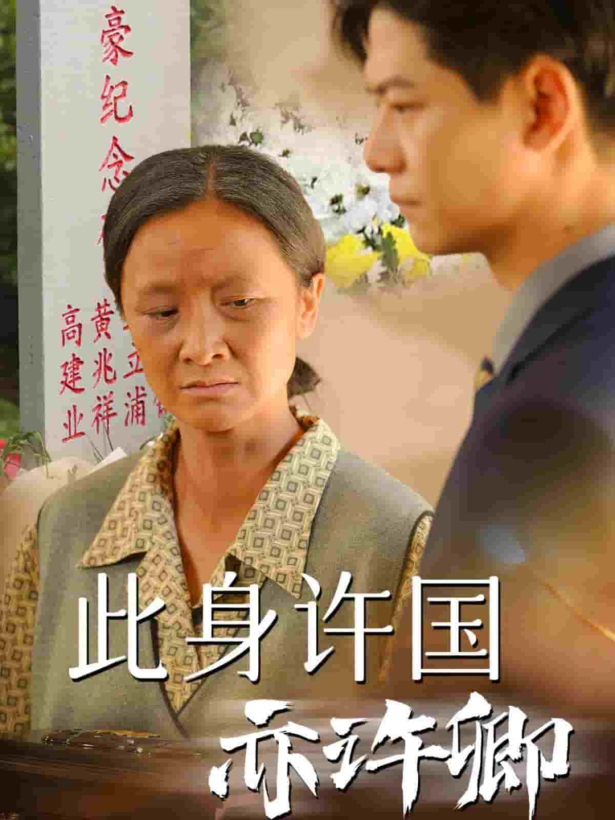 此身许国亦许卿第17集