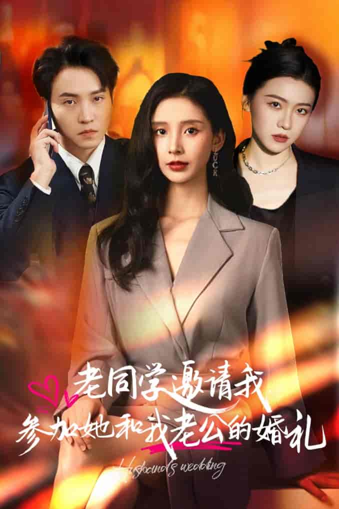 老同学邀请我参加她和我老公的婚礼第18集