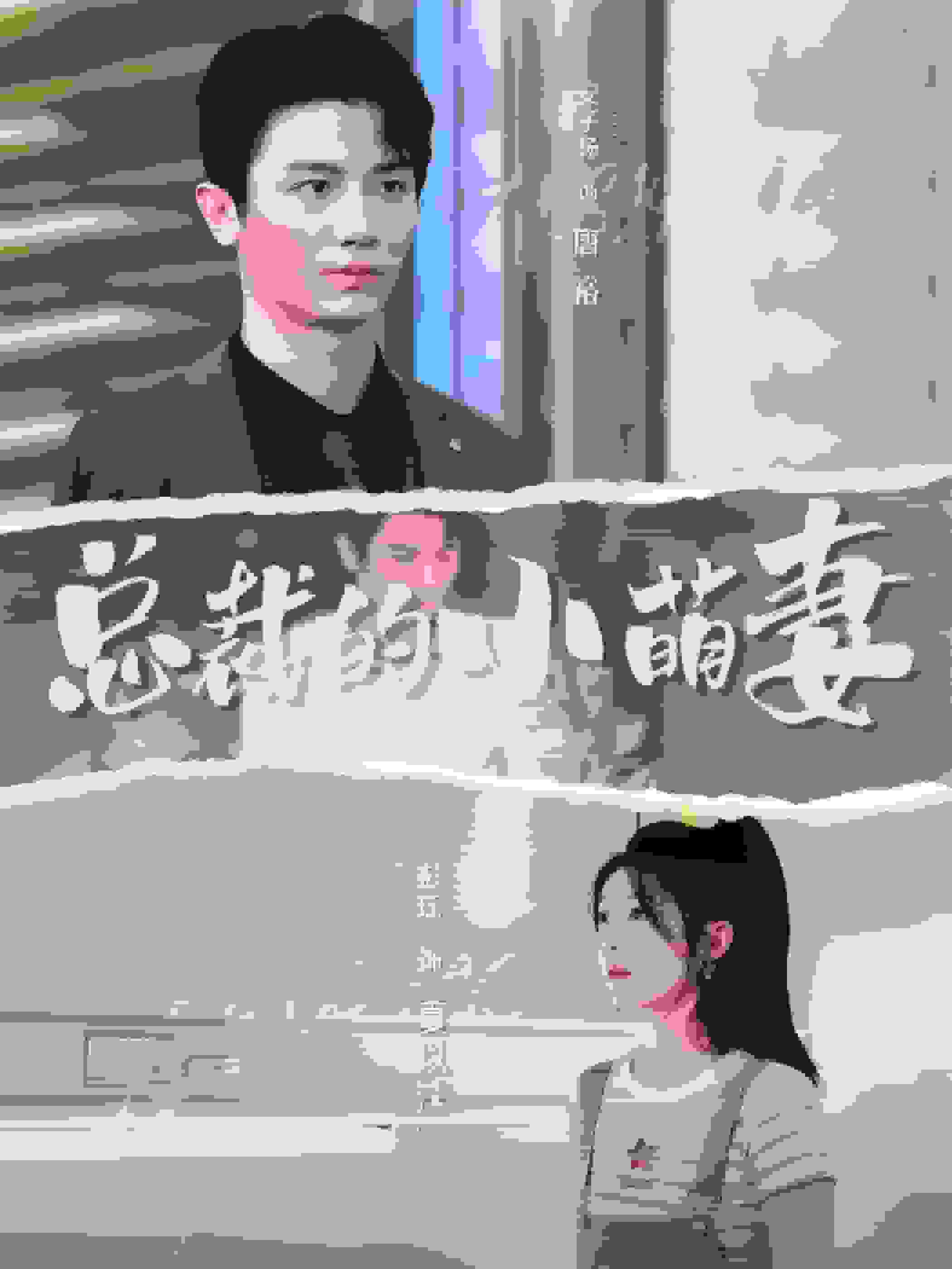 总裁的小萌妻第21集