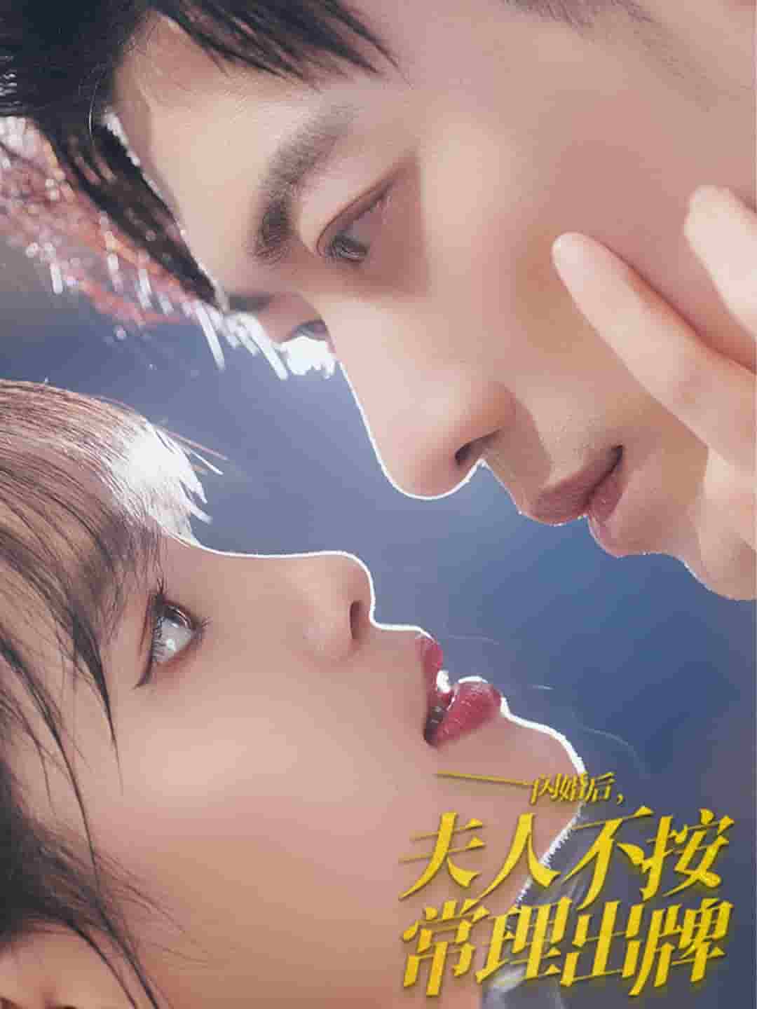 闪婚后夫人不按常理出牌第17集