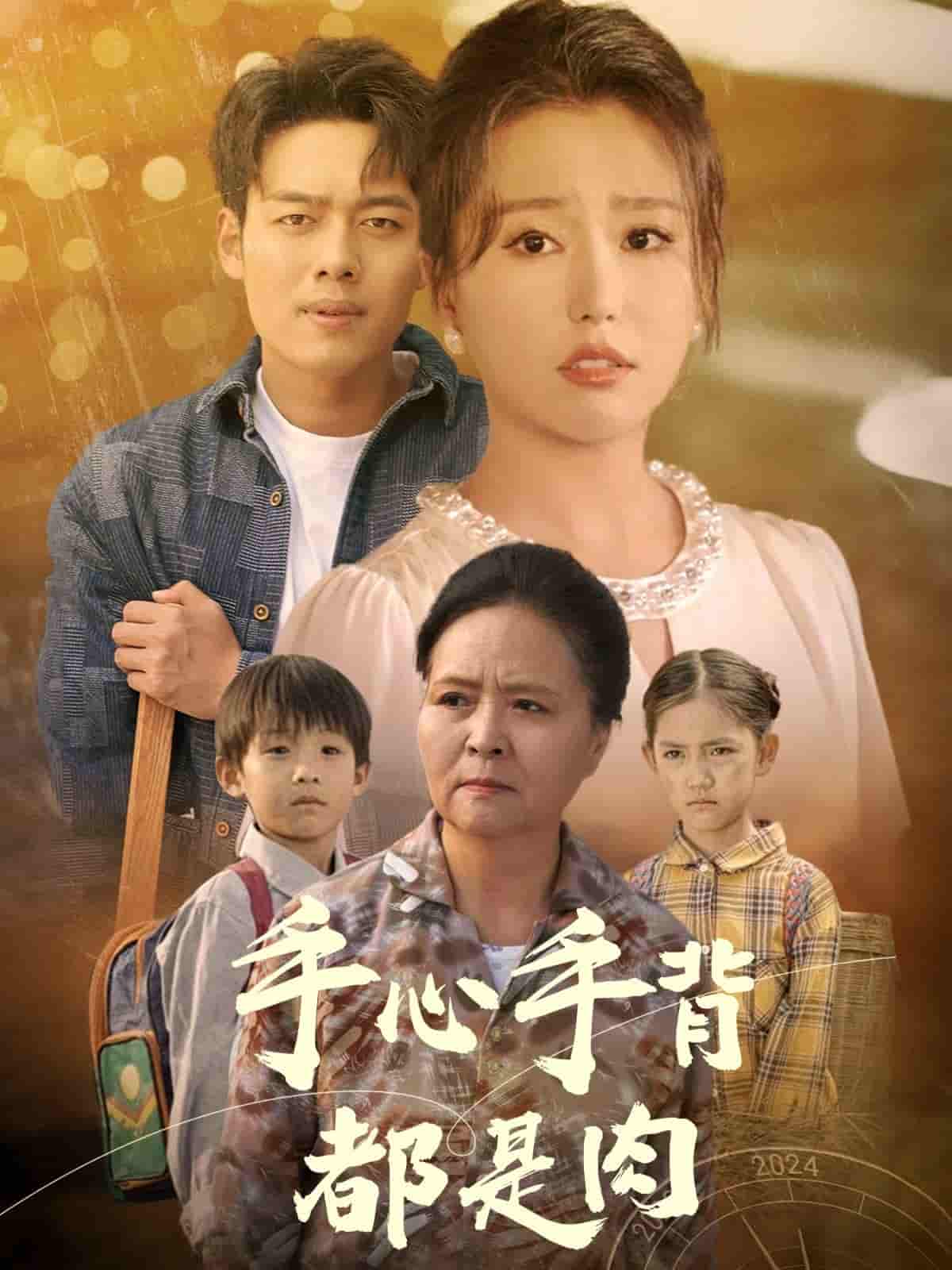 手心手背都是肉第13集