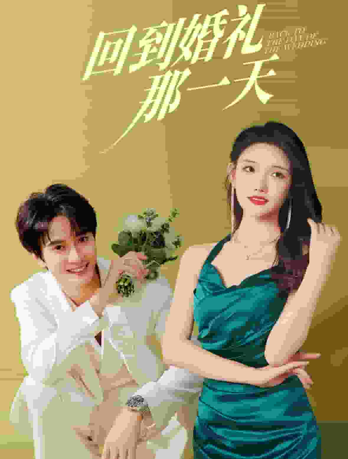 回到婚礼那一天第55集