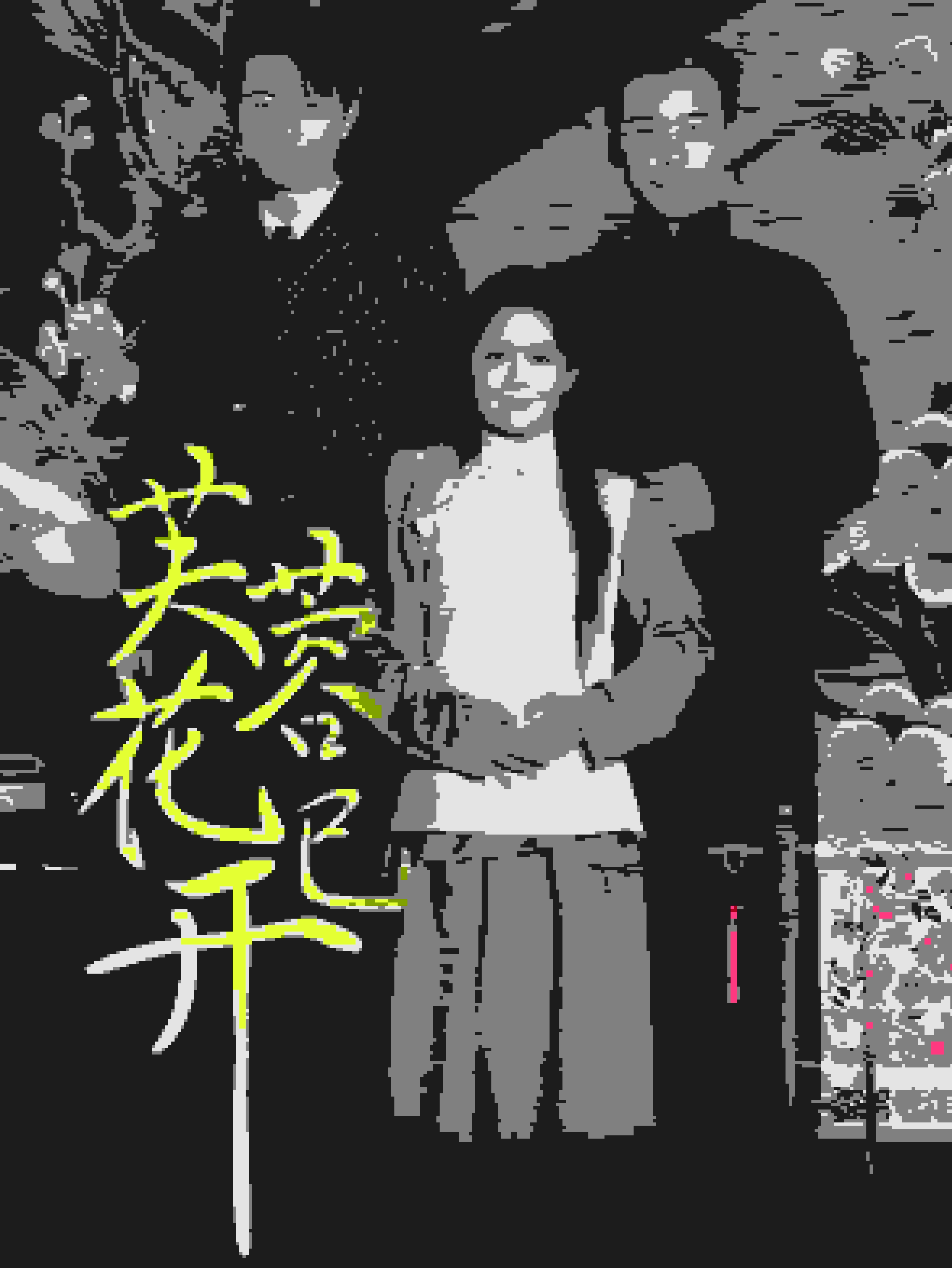 芙蓉花已开第54集