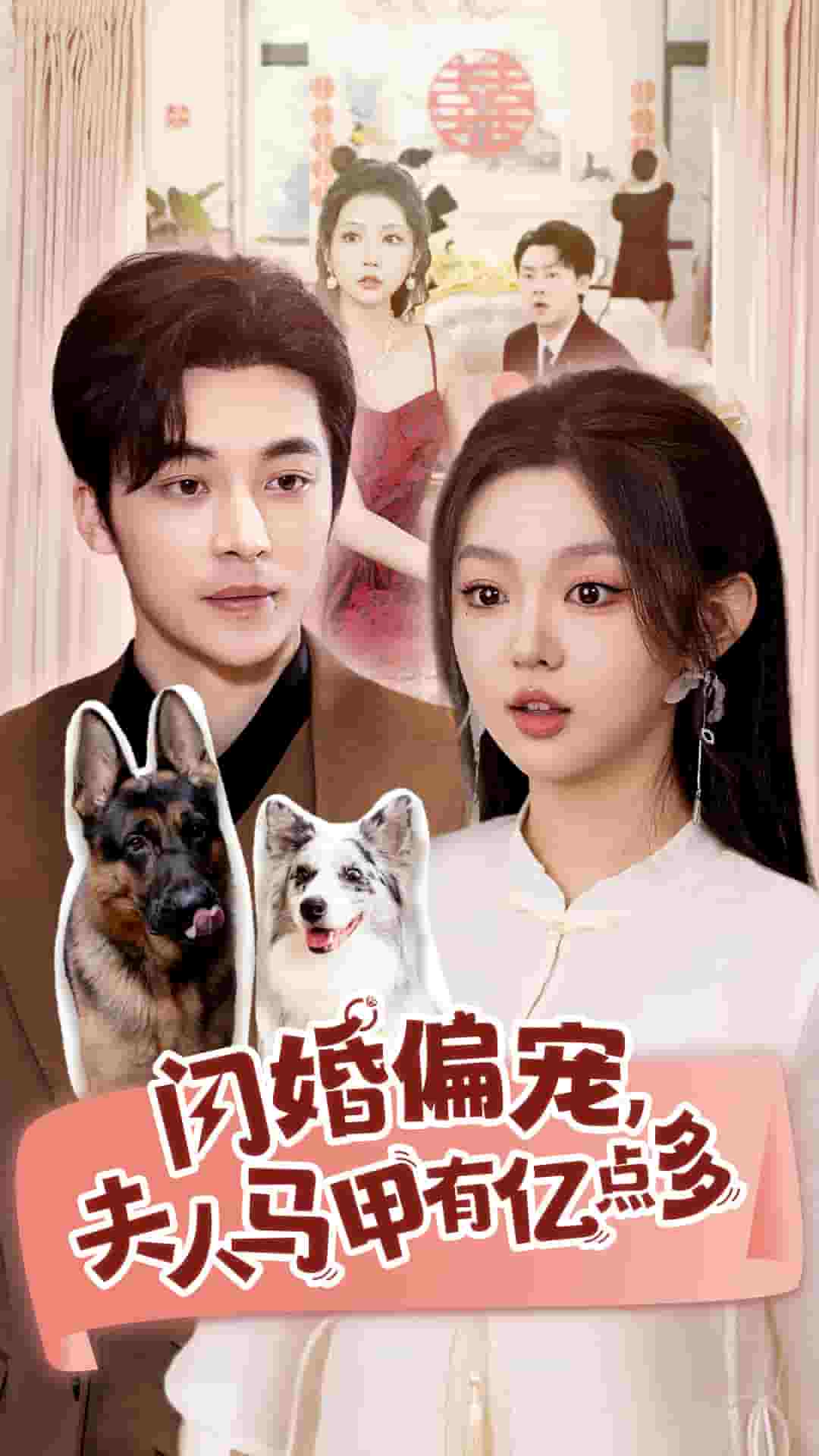 闪婚偏宠夫人马甲有亿点多第78集
