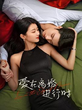 爱在离婚进行时2025第12集